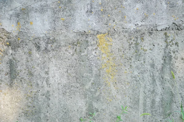 Doku arkaplanı için duvar, Boş alan şablonu.