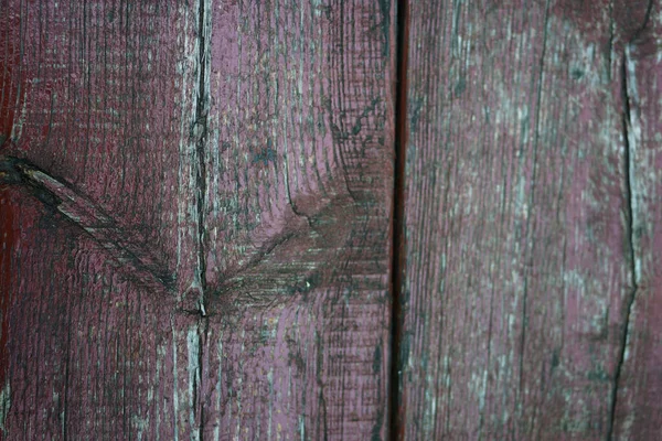 Doku arkaplanı için duvar, Boş alan şablonu.