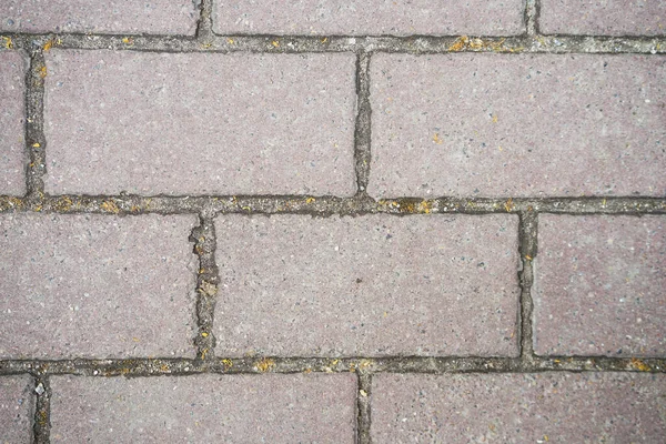 Doku arkaplanı için duvar, Boş alan şablonu.