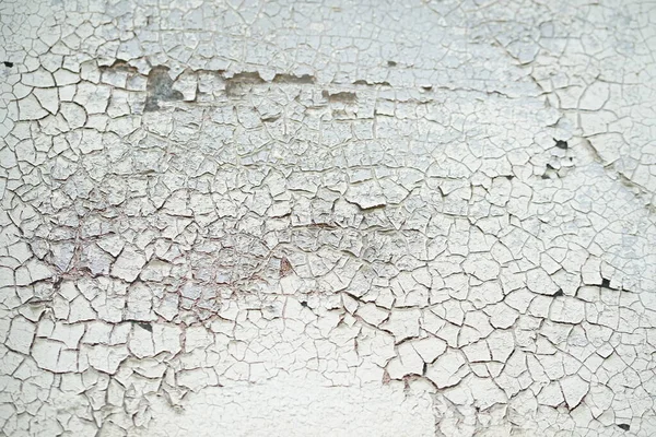 Doku arkaplanı için duvar, Boş alan şablonu.