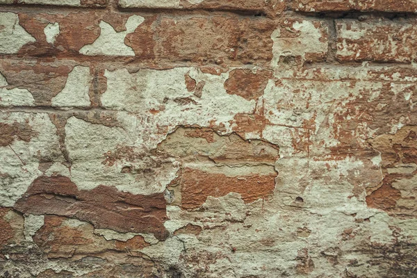 Doku arkaplanı için duvar, Boş alan şablonu.