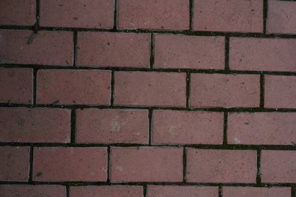 Doku arkaplanı için duvar, Boş alan şablonu.