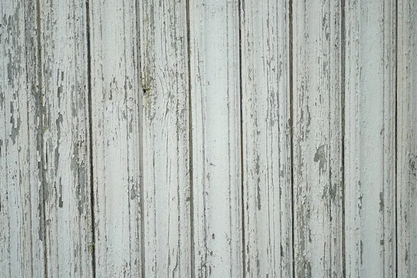 Doku arkaplanı için duvar, Boş alan şablonu.