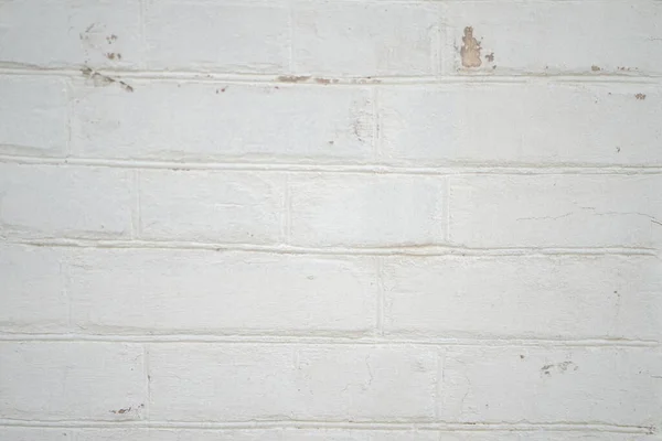 Wall Texture Background Szablon Wolnej Przestrzeni — Zdjęcie stockowe