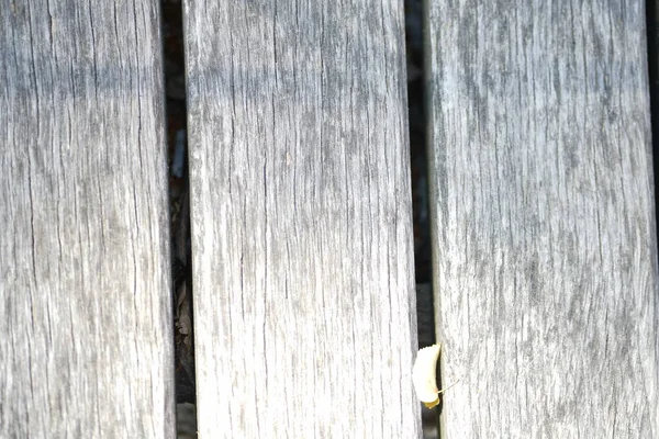 Doku arkaplanı için duvar, Boş alan şablonu.