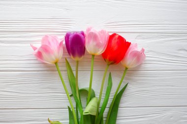 Ahşap beyaz arka plan ve Pembe Lale. Mart 8, anneler günü.