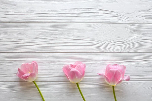 Houten witte achtergrond en roze tulpen. 8 maart, Mother's Day. — Stockfoto