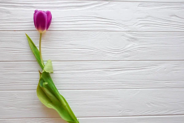 Houten witte achtergrond en roze tulpen. 8 maart, Mother's Day. — Stockfoto