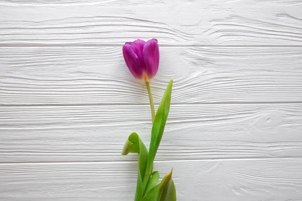 Ahşap beyaz arka plan ve Pembe Lale. Mart 8, anneler günü.