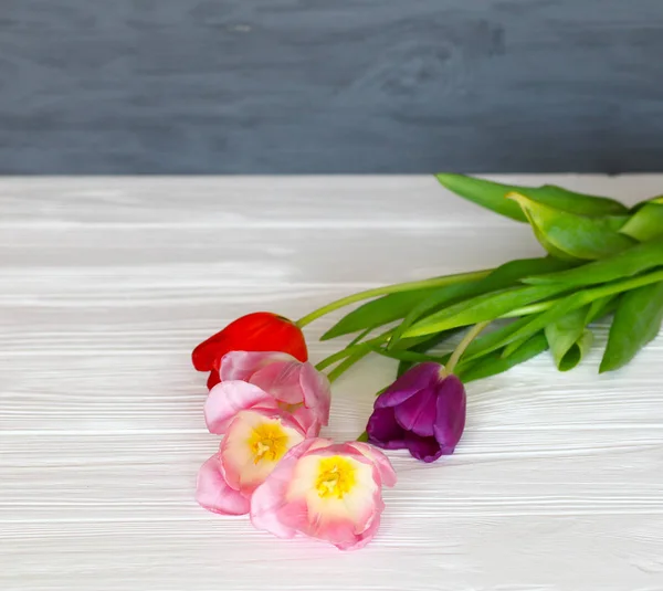 Деревянный белый фон и розовые тюльпаны. 8 марта, День матери . Стоковое Изображение