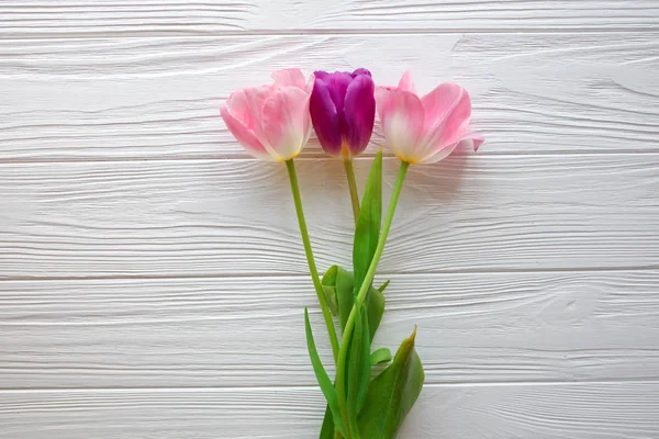 Деревянный белый фон и розовые тюльпаны. 8 марта, День матери . Лицензионные Стоковые Изображения