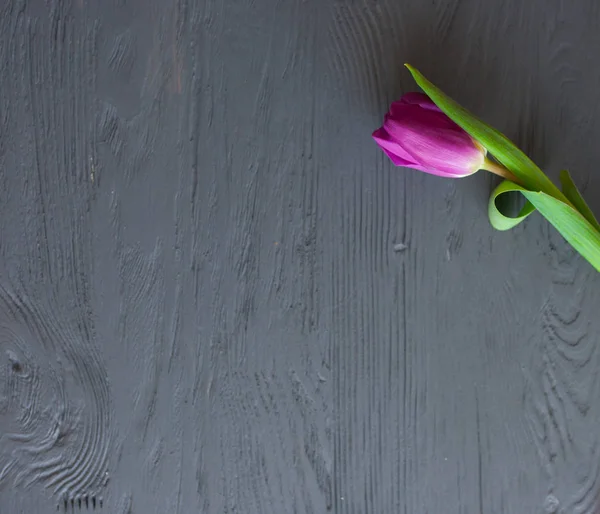 День матери, женский день. тюльпаны, подарки на деревянном фоне Стоковое Фото