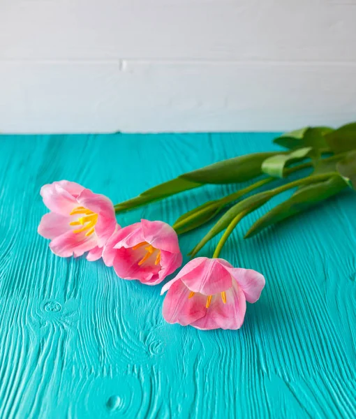 Деревянный белый фон и розовые тюльпаны. 8 марта, День матери . Стоковая Картинка