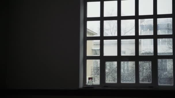 Fallen maple tree outside the window. — Stock Video