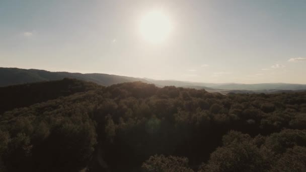 Arial tiro volando sobre grandes montañas cubiertas de bosque . — Vídeos de Stock