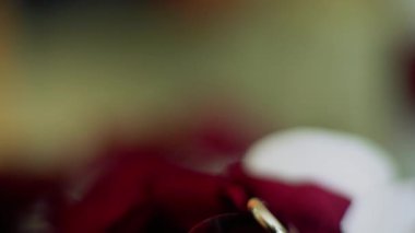 Alyans kırmızı çiçek başına kamera arka plan aşağı taşıyın