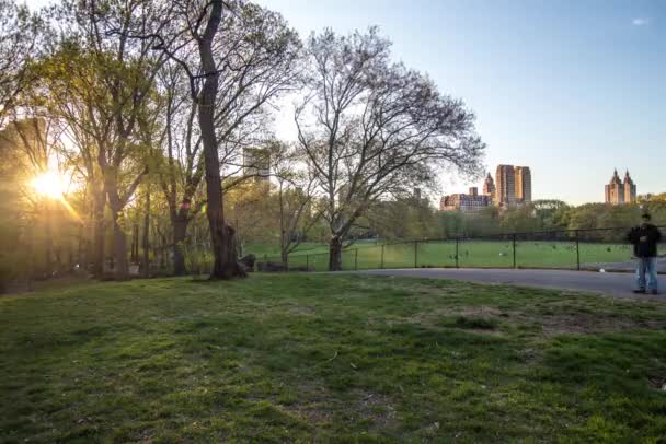 Zaman sukut gündoğumu central park New York'ta — Stok video