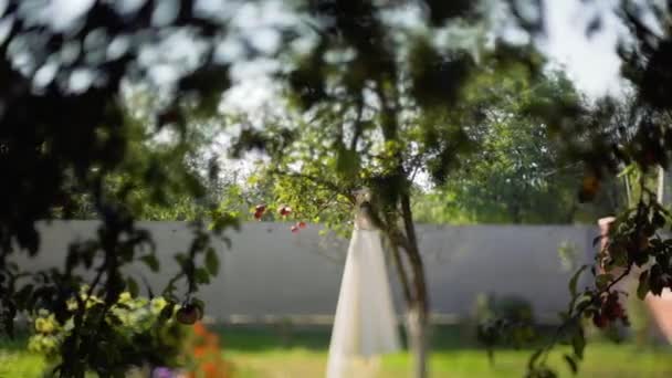 Белое свадебное платье висит на зеленом дереве, слайд-камера и сдвиг наклона — стоковое видео