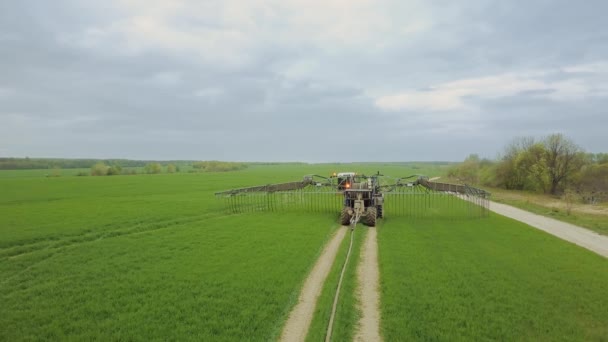 Widok z lotu ptaka duże ciągnika rozpylania pole pszenicy — Wideo stockowe