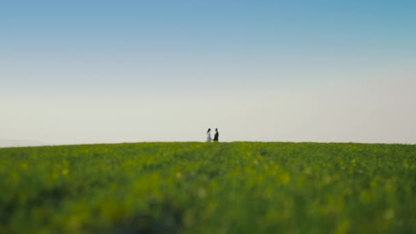 Novia y novio azulados en una estancia de boda en el campo verde — Vídeo de stock