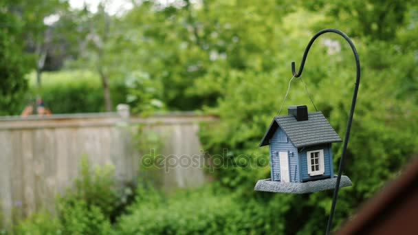 Fondo pequeña casa para la decoración del patio — Vídeos de Stock