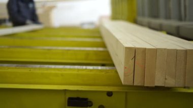 İşçi Hidrolik Pres ahşap İnşaat Mobilya atölyesinde bağlanmak için yapıştırılmış işlenmiş kurulu koyar, eller yakın çekim