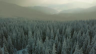 Hava uçuş kışın karlı Ladin dağ orman üzerinde hareket kamera görünümü