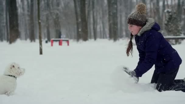 L'enfant joue avec le chien litle en hiver dans le parc jette la neige vers le haut. lance des flocons de neige et sourit dans un parc d'hiver. Tir doux. Mouvement lent — Video