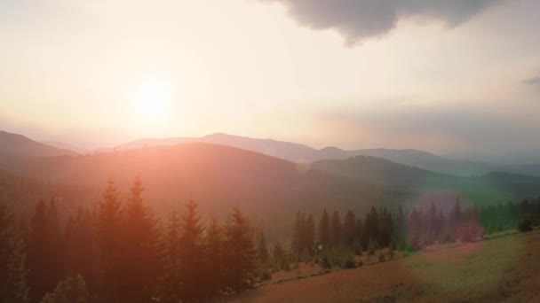 Drohnen aus der Luft. Flug über Nebelwald Sonnenuntergang bunten Herbst. Farben des Sonnenuntergangs — Stockvideo