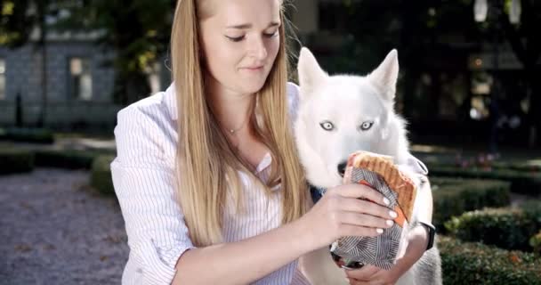Ritratto bella giovane donna tenendo un cane husky tra le braccia e dando da mangiare al suo cane un panino — Video Stock