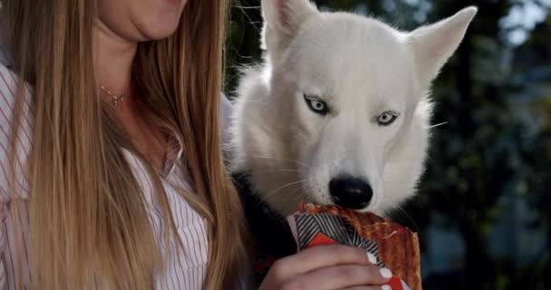 形象美丽的年轻女子抱着一只狗，哈士奇在她的怀里，喂他的狗一个三明治。 靠近点 — 图库视频影像
