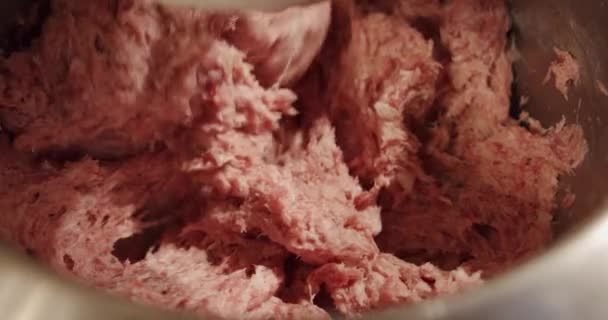 Verwerking in vlees- en worstmakerij. Ketel vlees chopper mixer maken machine gevuld met vlees voor het hakken. Sluiten. — Stockvideo