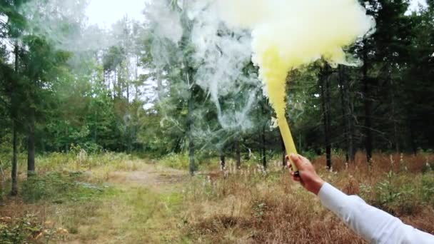 森の自然を背景に手で燃焼黄色の煙爆弾。スローモーション. — ストック動画