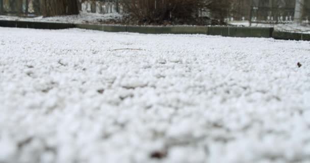 La grêle frappe le toit de la maison dans l'orage. Au ralenti. Ver 2 — Video