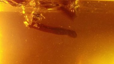 Spices Flying and Falling, in tea or mulled wine, underwater Slow Motion