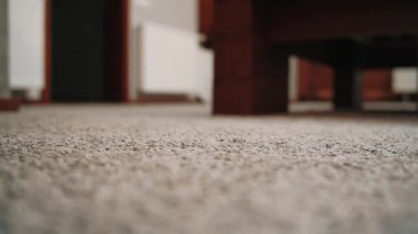 Yavaş hareket. İç çamaşırlı genç bir kadın evde çıplak ayakla yürüyor. Kapat.