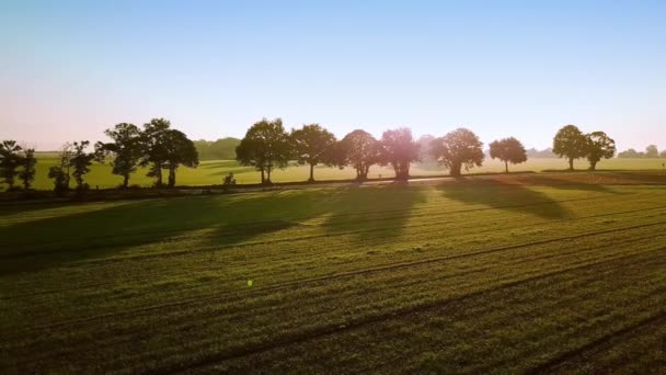 无人机的航景走在路上，穿过美丽的树木和田野，阳光灿烂的早晨 — 图库视频影像
