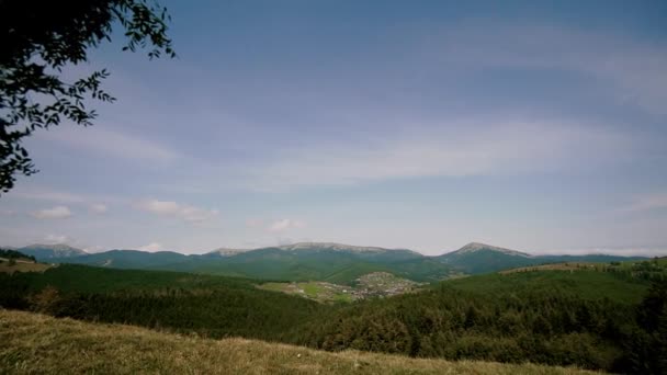 Pampas tráva. obloukový design, svatební dekor prvek. Arch in nature, in the mountains move camera — Stock video