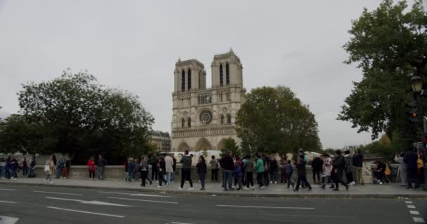 Catedral Católica Notre-Dame de Paris medieval após o incêndio. O trabalho de renovação após o incêndio trágico. Paris, França - 18 de outubro de 2019 : — Vídeo de Stock