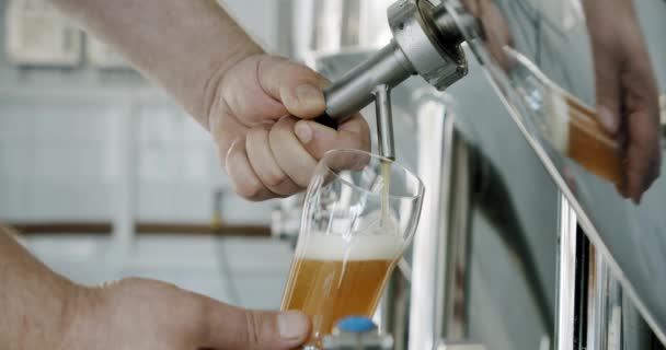 Zeitlupe. Brauereiarbeiter gießt frisches Craft-Bier aus dem Zapfhahn eines Stahlbottichs ins Glas. Aus nächster Nähe. Kamera verschieben — Stockvideo