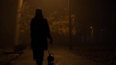 Gizemli bir sis bulutuyla gece parkında evcil bir köpekle yürüyen bir kadının silueti. Kaydırma kamerası