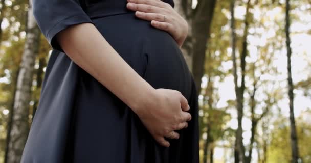 Chica embarazada sosteniendo sus manos sobre su estómago. vestido en vestido negro vientre embarazada de cerca — Vídeos de Stock