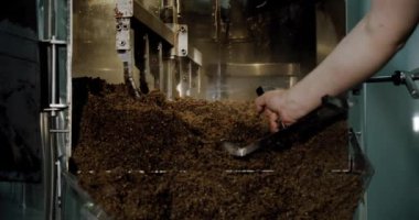 Bira üreticisi bira tankından malt viskisini çıkartıyor. Bira üretimi