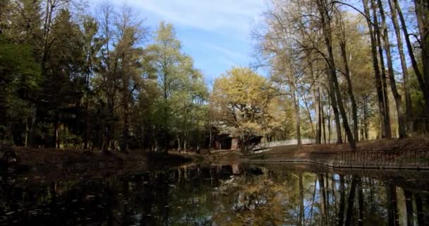 Piękny las w parku z odbiciem w spokojnej powierzchni wody jeziora — Wideo stockowe