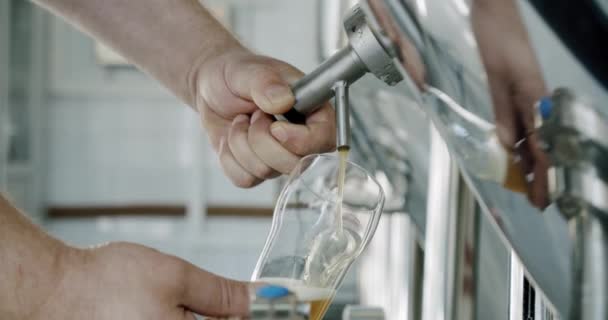 Sörfőző munkás, aki friss kézműves sört tölt az acélkád csapjából az üvegbe. Közelről. Mozgó kamera — Stock videók