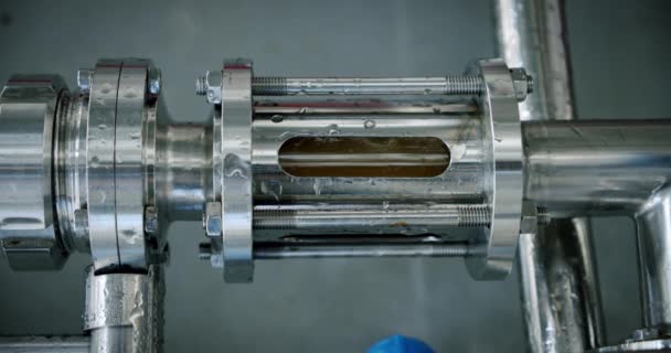 El líquido cambia de colordentro del tubo transparente durante el proceso de elaboración de la cerveza. cerveza ligera — Vídeos de Stock