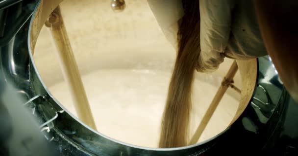 Bira imalat fabrikası, bira fıçılarına ağır çekimde bira yapmak için arpa arpası döken tahıllar. Ver 2 — Stok video
