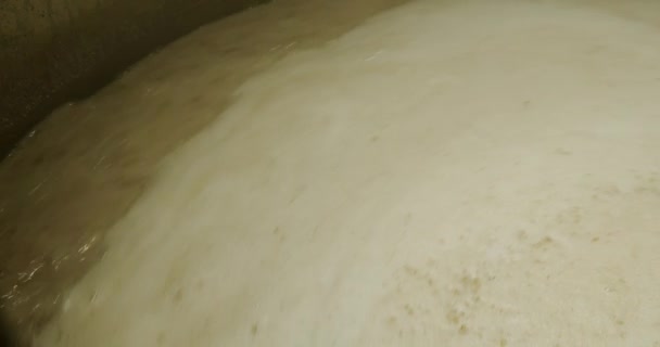 Närbild Bryggöl i tanken för bryggning, process för att göra öl. — Stockvideo