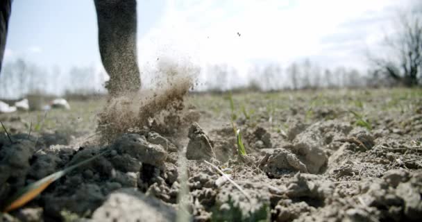 El granjero trabaja la azada en el suelo el suelo, afloja el suelo. Hoeing Field. En cámara lenta. De cerca. — Vídeos de Stock