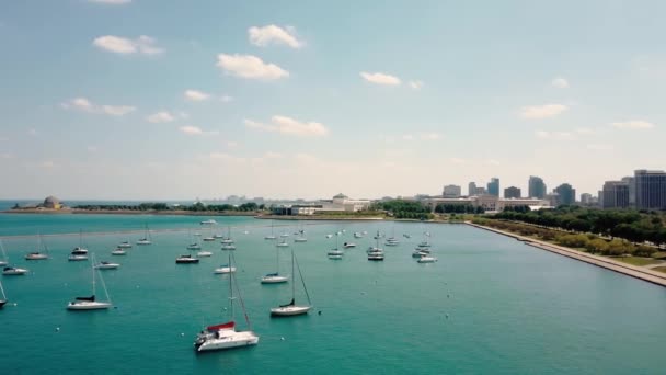 Drone antenn video av Chicago, solig dag en hel del båtar parkerade i Bay på ljusa soliga dagen. — Stockvideo